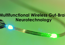 wireless gut brain neurotechnology
