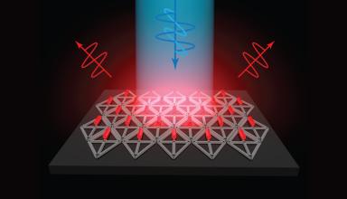 Image: Dr. Xin Luo, Bathe BioNanoLab