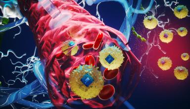 Credit: Courtesy of the researchers