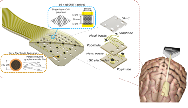Graphene thin film technology for neural interfaces