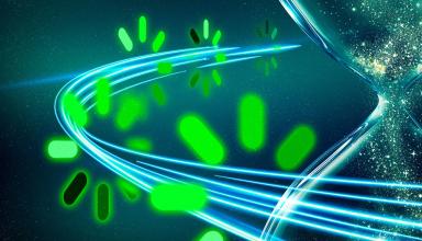 Image: MIT News; iStock