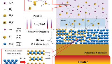 From Plasma to AI Hardware: Wafer-Scale 2D Logic and Memory for In-Memory Computing