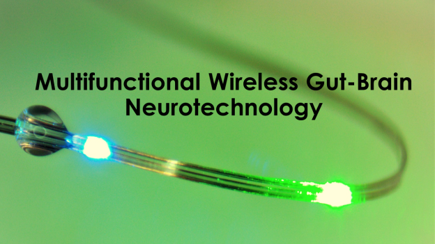 wireless gut brain neurotechnology