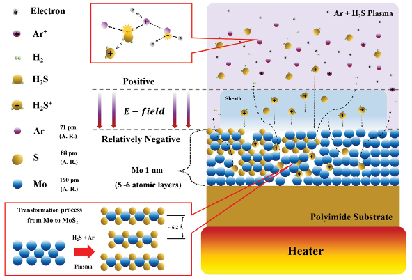 From Plasma to AI Hardware: Wafer-Scale 2D Logic and Memory for In-Memory Computing