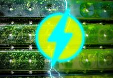 A new, inexpensive technology can limit the buildup of algae on the walls of photobioreactors that can help convert carbon dioxide into useful products. 