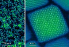 Microscopic imaging shows the size uniformity of the perovskite nanocrystals.