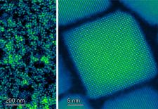 Microscopic imaging shows the size uniformity of the perovskite nanocrystals.