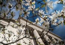 flowers in front of MIT building