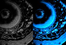 On left is the initial image, and on right is the optimized image using the new technique