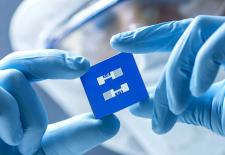 hands in blue gloves holding chip