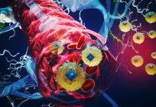 Credit: Courtesy of the researchers