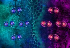  Caption:An illustration depicts pairs of superconducting electrons in rhombohedral graphene