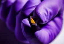 Hand in purple glove holds newly developed film