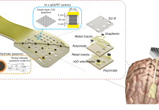 Graphene thin film technology for neural interfaces