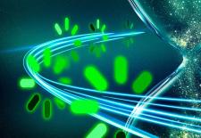 Image: MIT News; iStock