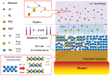 From Plasma to AI Hardware: Wafer-Scale 2D Logic and Memory for In-Memory Computing