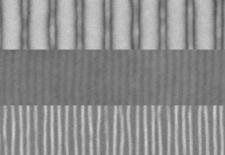 Scanning electron microscope images