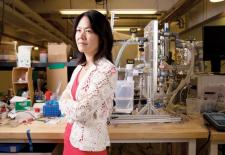 Photo: Professor Evelyn Wang