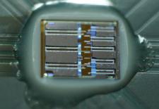 Photonic communication comes to computer chips