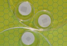 Stamp-sized graphene