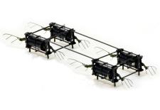 Insects’ remarkable acrobatic traits help them navigate the aerial world, with all of its wind gusts, obstacles, and general uncertainty.